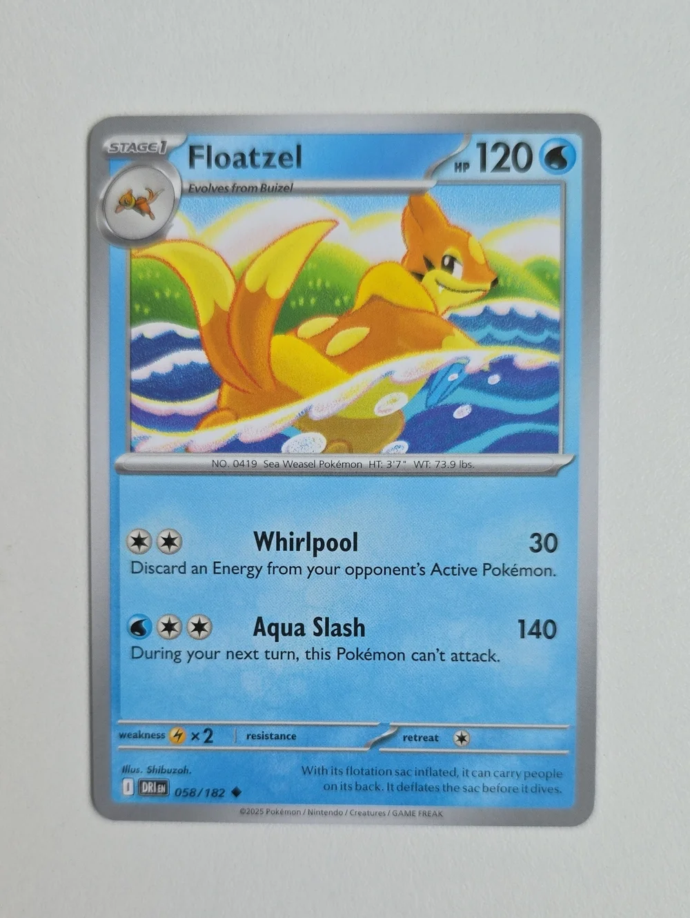 Pokemon Buizel And Floatzel Trading Card